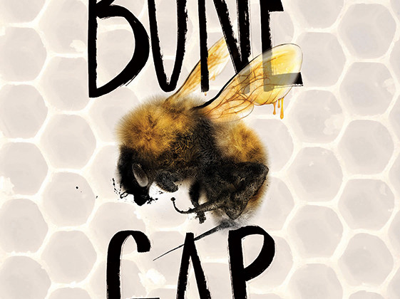 Book Review Bone Gap By Laura Ruby