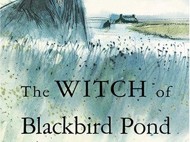 the witch of blackbird pond essay Free and custom essays at essaypediacom take a look at written paper - witch of blackbird pond. the witch of blackbird pond essay Free and custom essays at essaypediacom take a look at written paper - witch of blackbird pond.